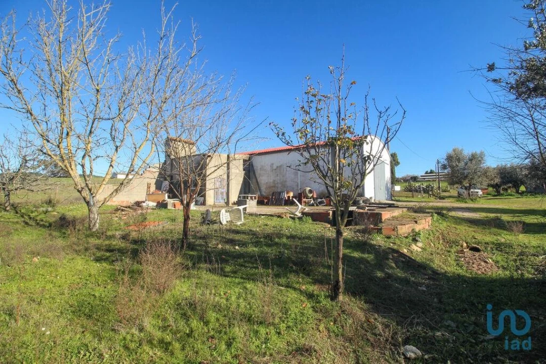 Moradia para Venda em Estremoz (Santa Maria e Santo André) Foto 10