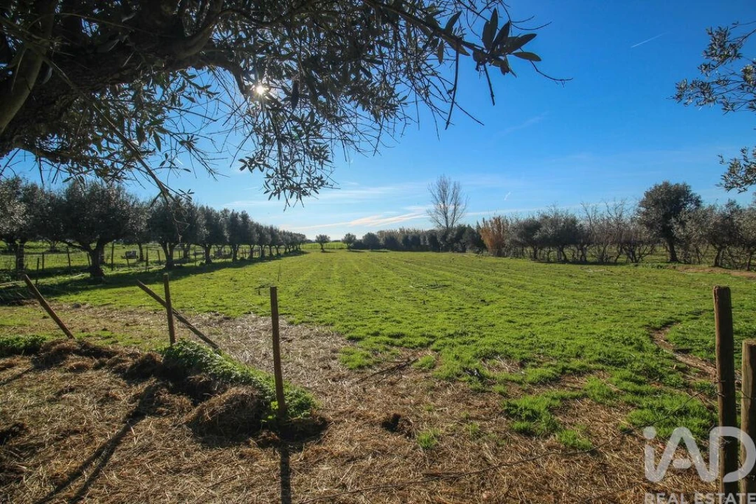 Moradia para Venda em Estremoz (Santa Maria e Santo André) Foto 17