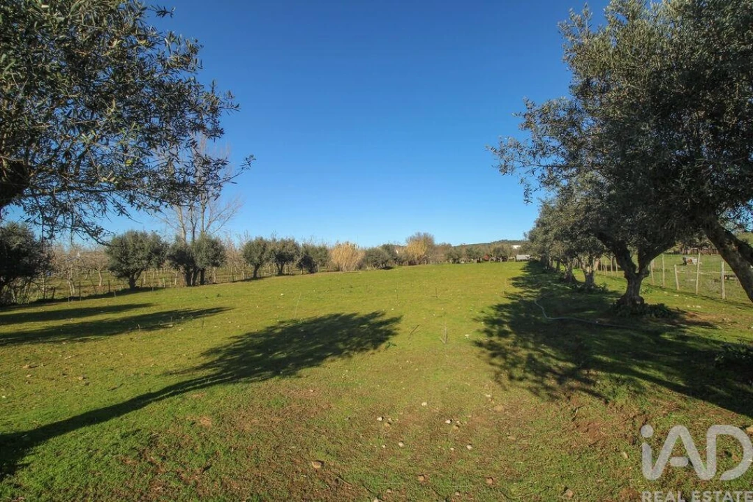 Moradia para Venda em Estremoz (Santa Maria e Santo André) Foto 20