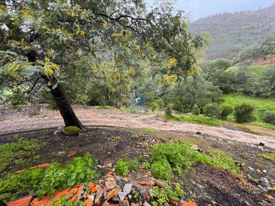 Negócio para Venda em Monchique Foto 23