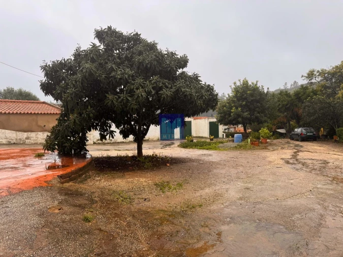 Negócio para Venda em Monchique Foto 23