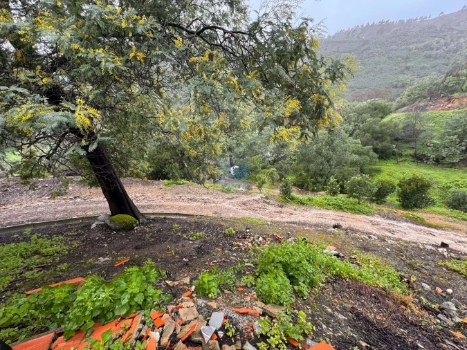 Negócio para Venda em Monchique Foto 22