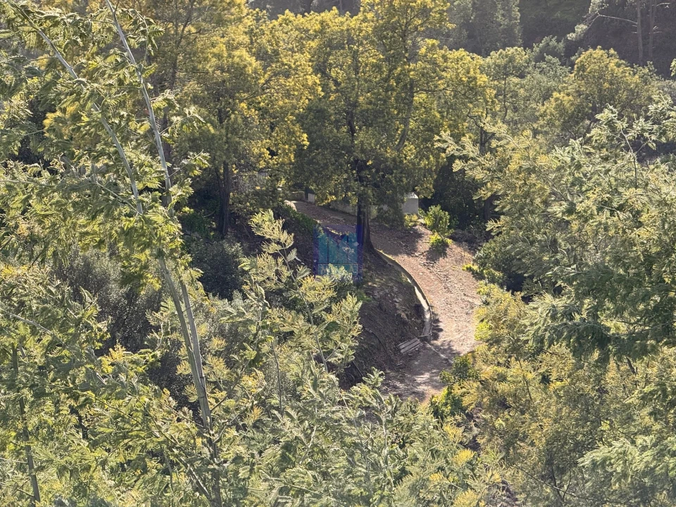 Negócio para Venda em Monchique Foto 4