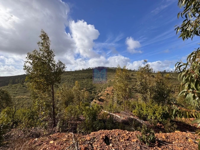 Terreno Agricola ou Rústico para Venda em Mexilhoeira Grande Foto 7