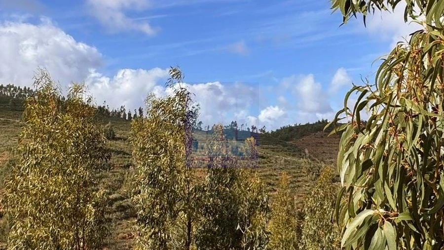 Terreno Agricola ou Rústico para Venda em Mexilhoeira Grande
