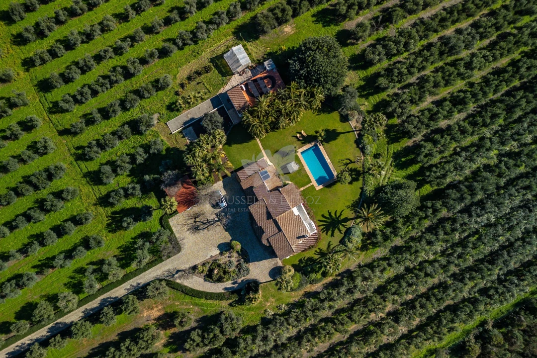 Moradia T3 para Venda em Olhão Foto 4