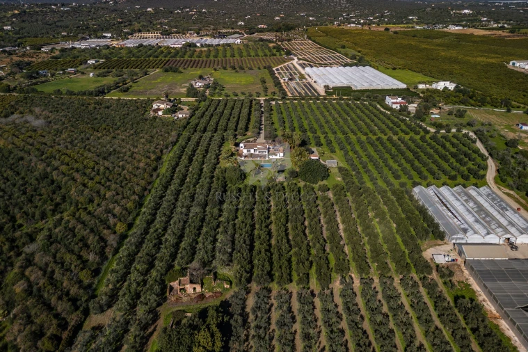 Moradia T3 para Venda em Olhão Foto 39