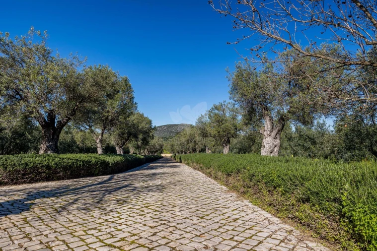 Moradia T3 para Venda em Olhão Foto 22