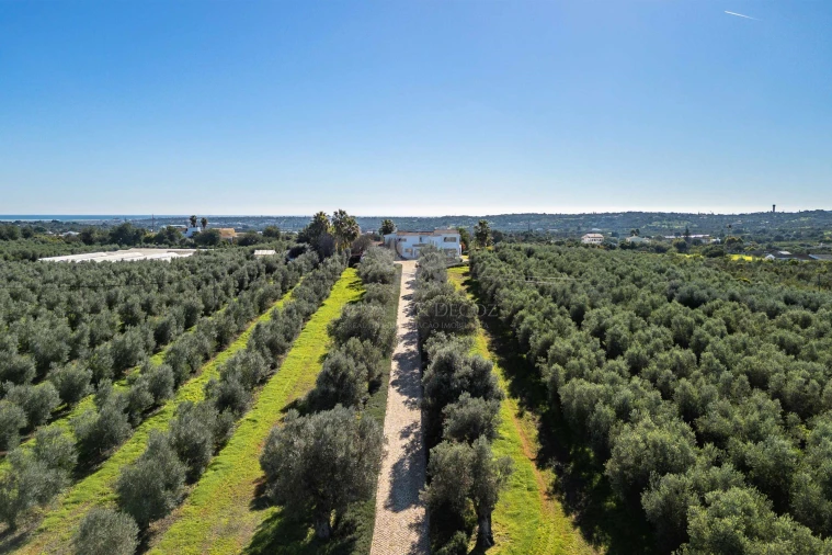 Moradia T3 para Venda em Olhão Foto 37