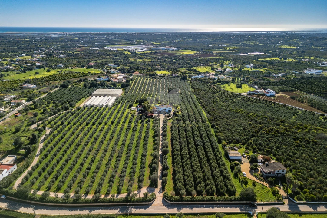Moradia T3 para Venda em Olhão Foto 38