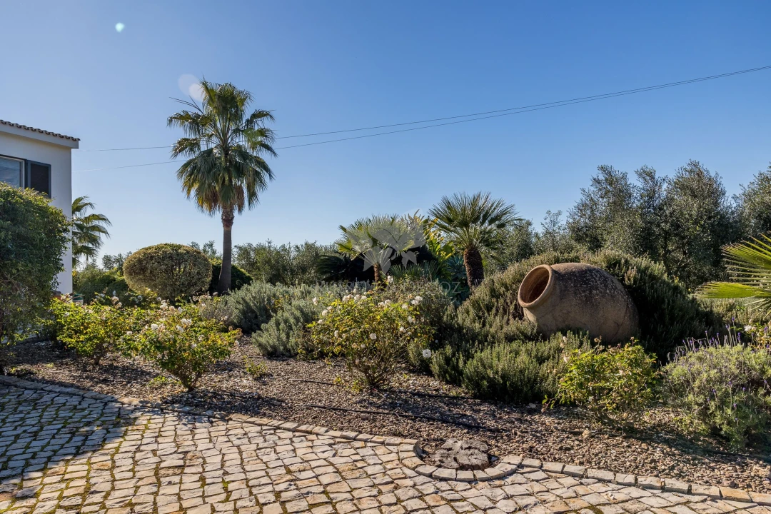 Moradia T3 para Venda em Olhão Foto 21