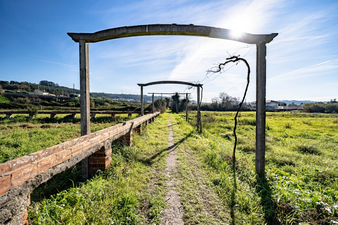 Quinta T10 para Venda em Taveiro, Ameal e Arzila Foto 38