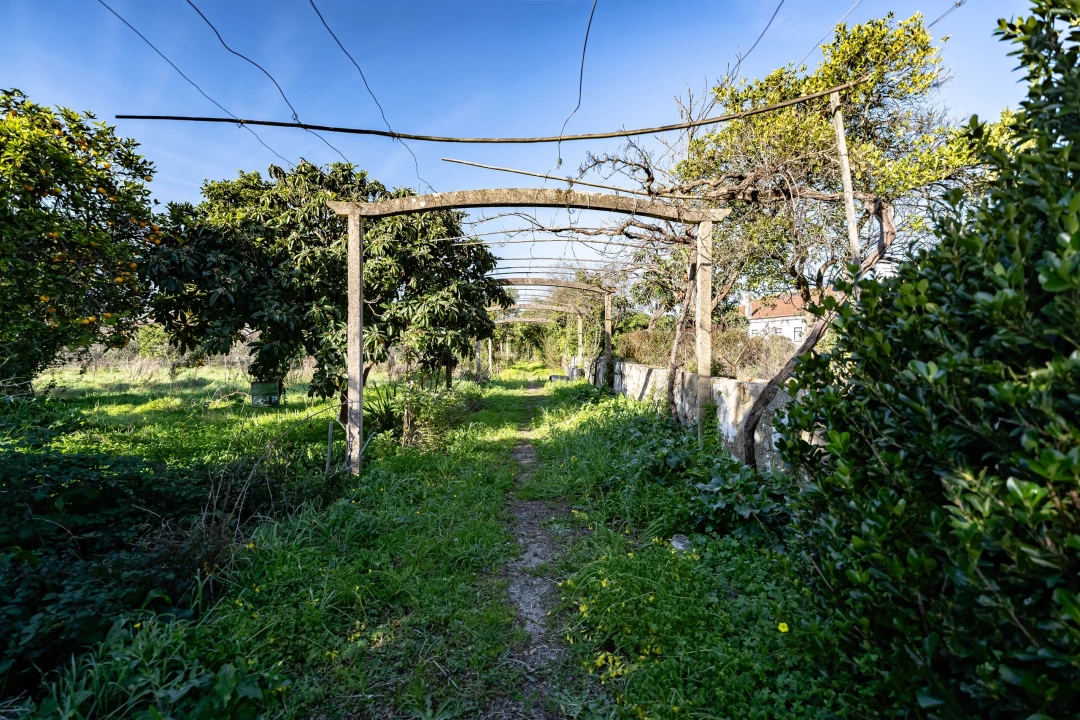 Quinta T10 para Venda em Taveiro, Ameal e Arzila Foto 41