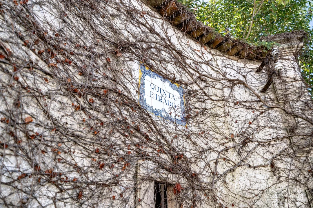 Quinta T10 para Venda em Taveiro, Ameal e Arzila Foto 58
