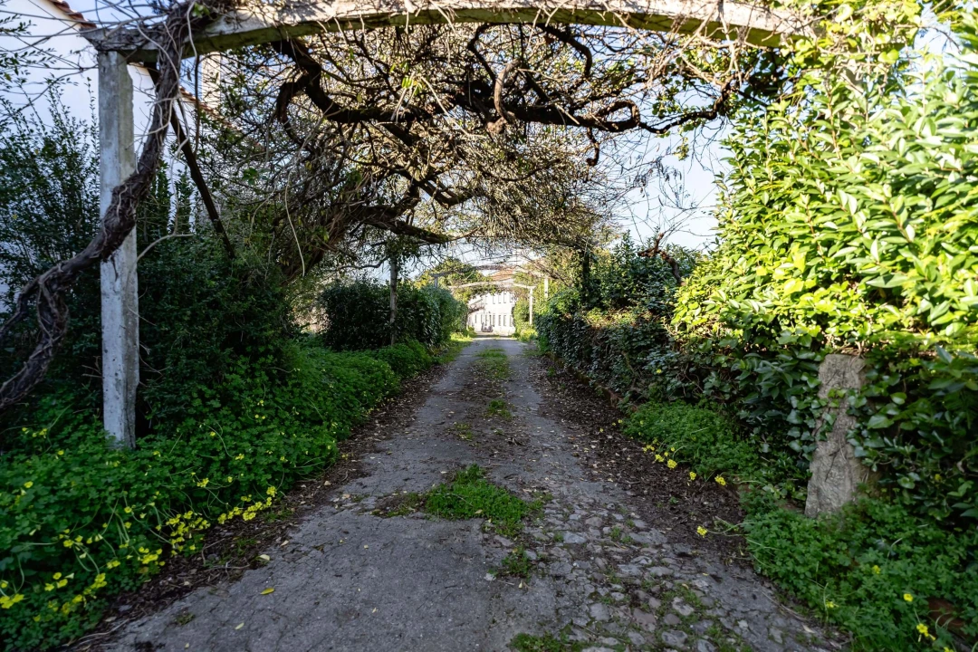 Quinta T10 para Venda em Taveiro, Ameal e Arzila Foto 46