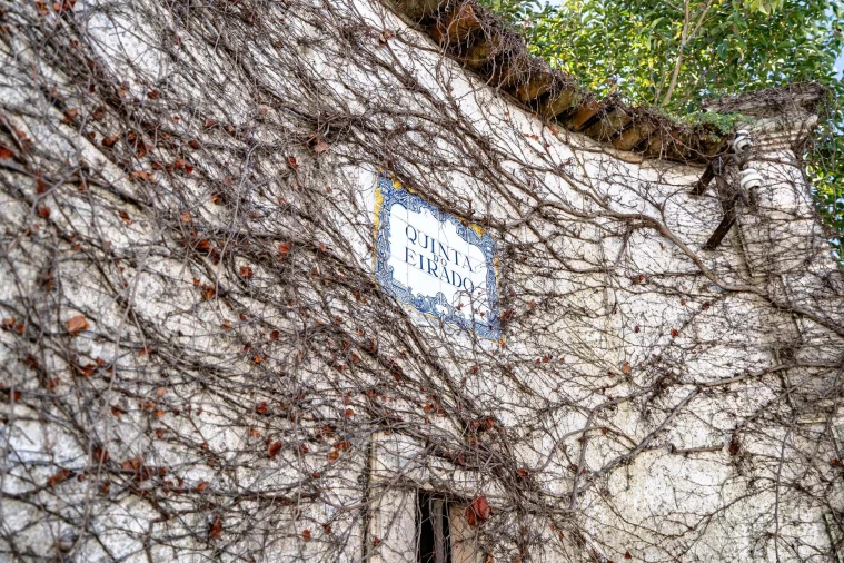 Quinta T10 para Venda em Taveiro, Ameal e Arzila Foto 58