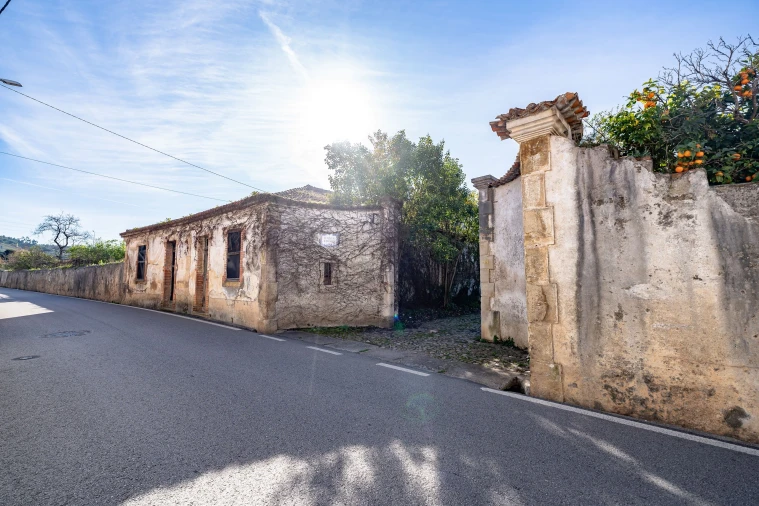 Quinta T10 para Venda em Taveiro, Ameal e Arzila Foto 56
