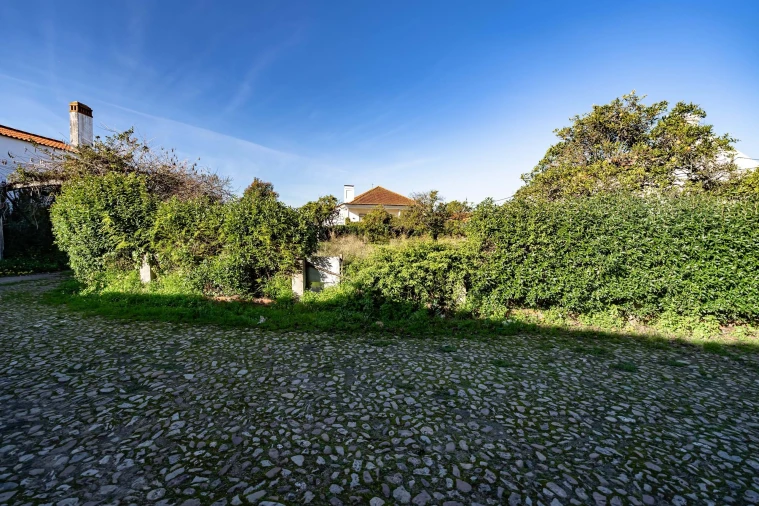 Quinta T10 para Venda em Taveiro, Ameal e Arzila Foto 45