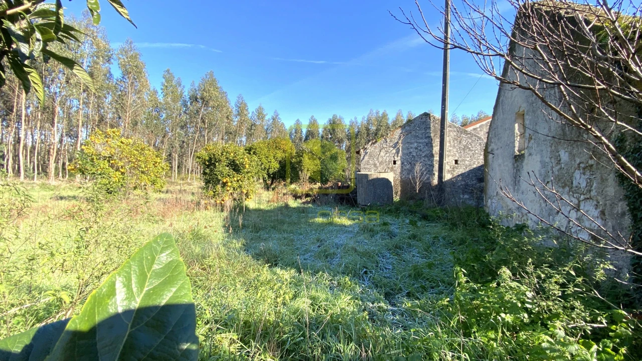 Quinta T2 para Venda em Alhadas Foto 31