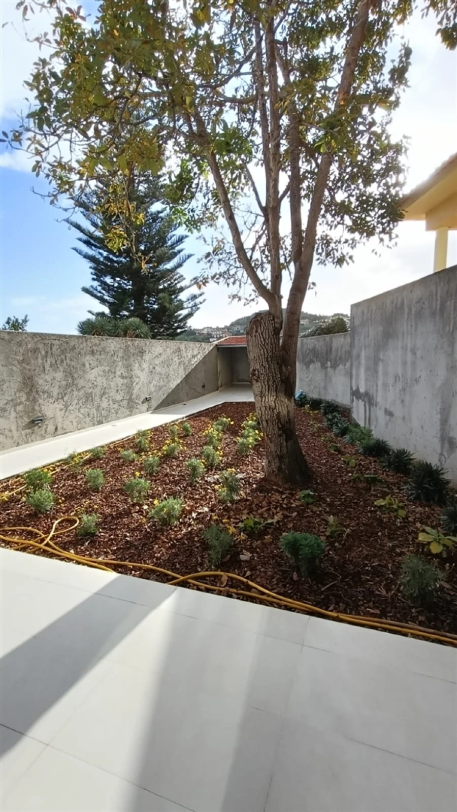 Prédio para Venda em Santo Antonio Foto 23