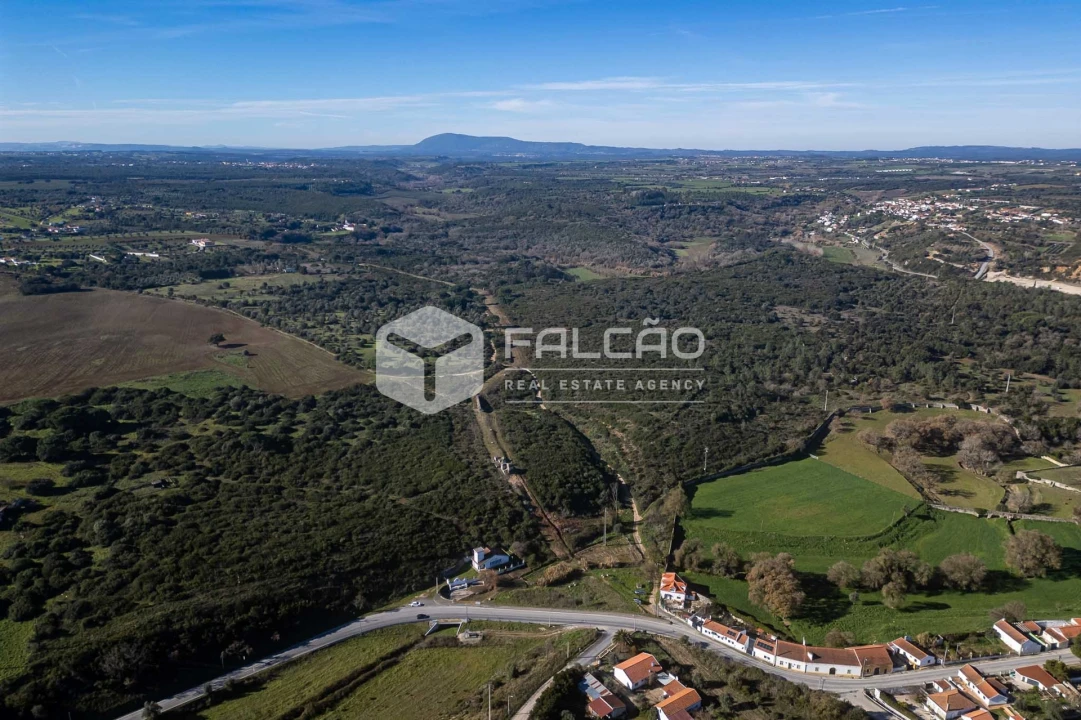 Terreno para Venda em Almoster Foto 5