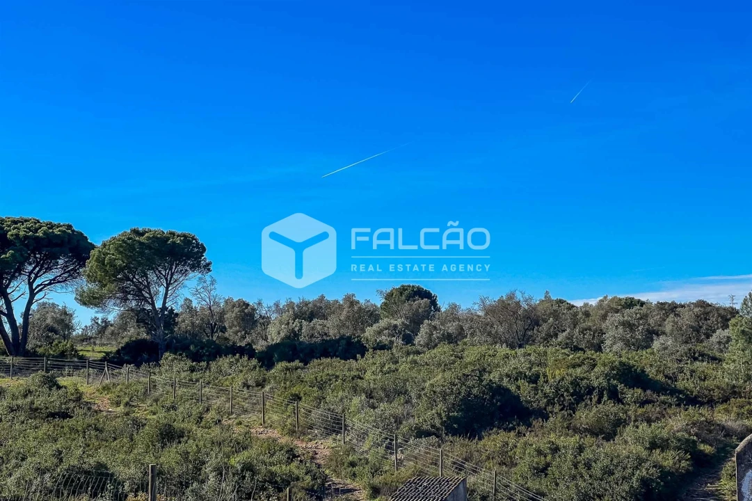 Terreno para Venda em Almoster Foto 1