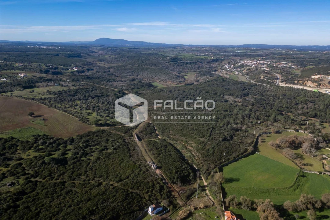 Terreno para Venda em Almoster Foto 4