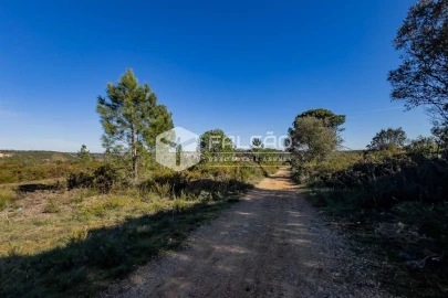 Terreno para Venda em Almoster