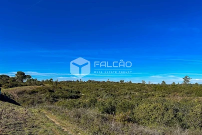 Terreno para Venda em Almoster