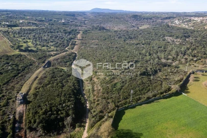Terreno para Venda em Almoster