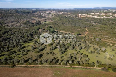 Terreno para Venda em Almoster