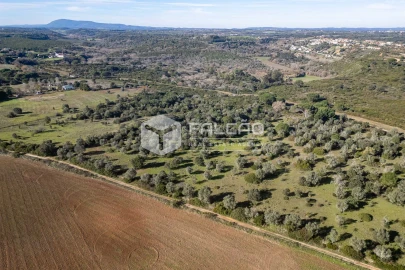 Terreno para Venda em Almoster