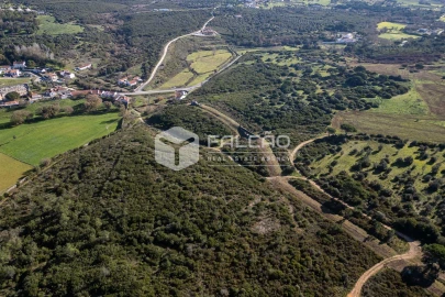Terreno para Venda em Almoster