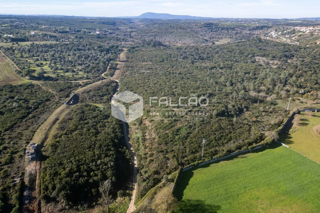 Terreno para Venda em Almoster Foto 12