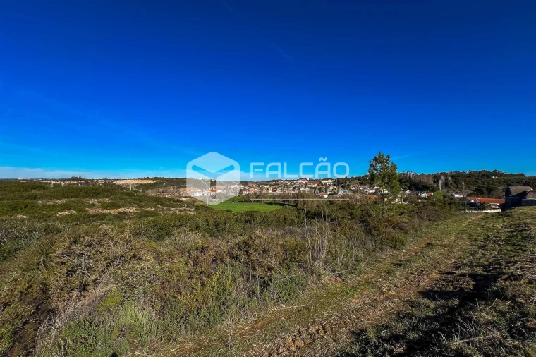 Terreno para Venda em Almoster Foto 21