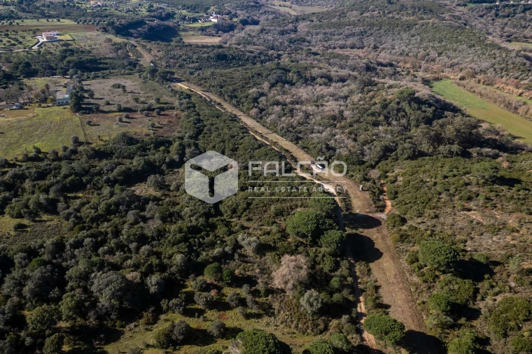 Terreno para Venda em Almoster Foto 19