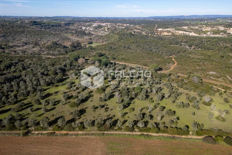 Terreno para Venda em Almoster Foto 13