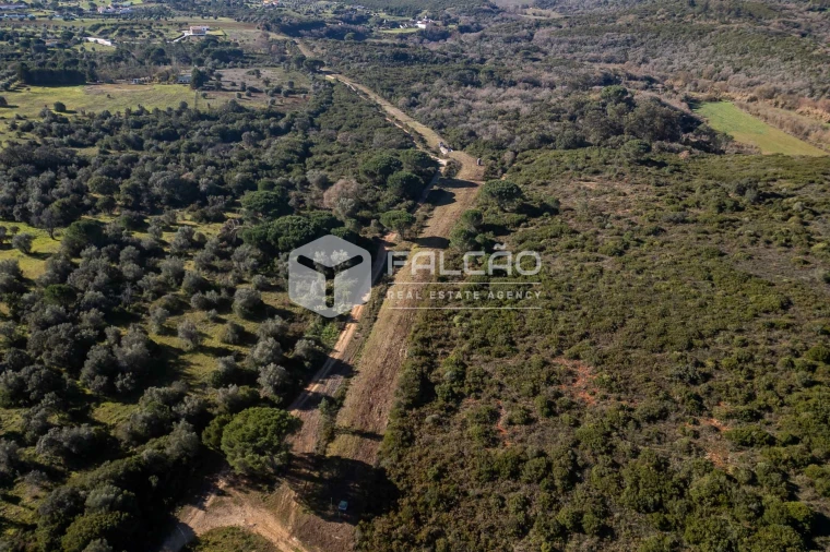 Terreno para Venda em Almoster Foto 16