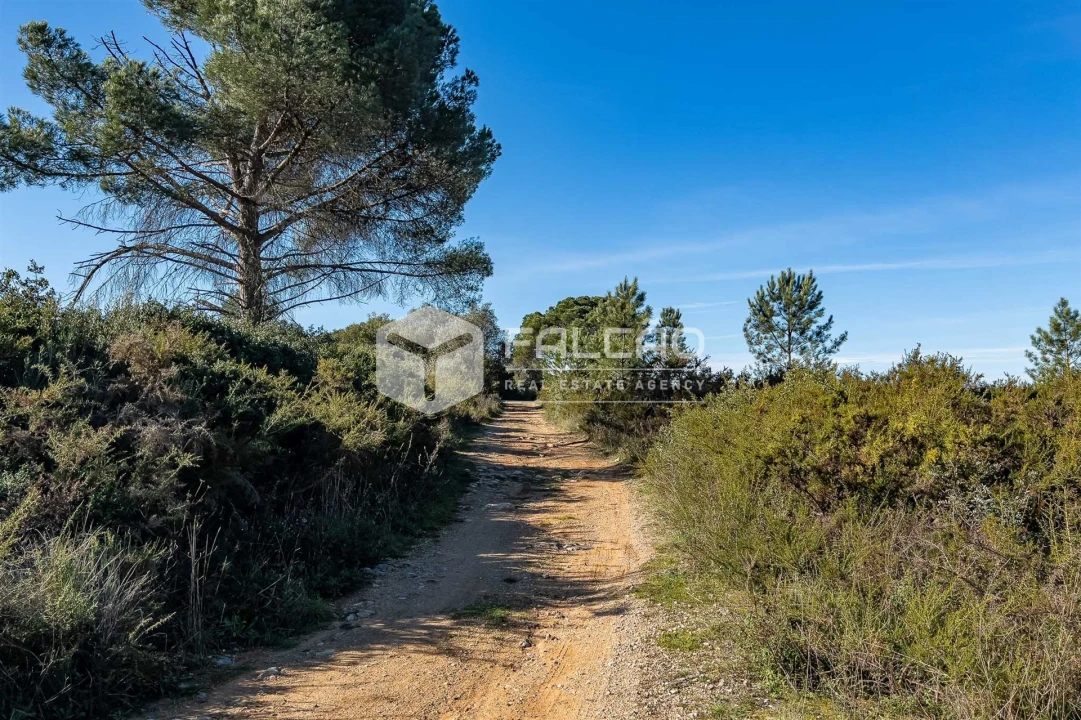 Terreno para Venda em Almoster Foto 26