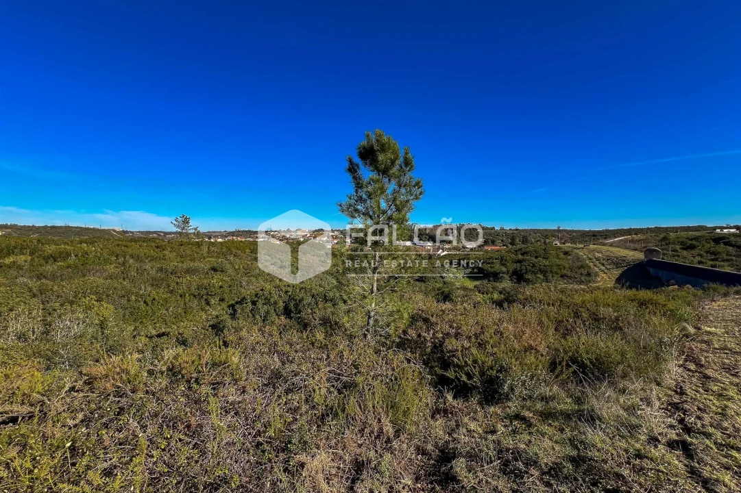 Terreno para Venda em Almoster Foto 25