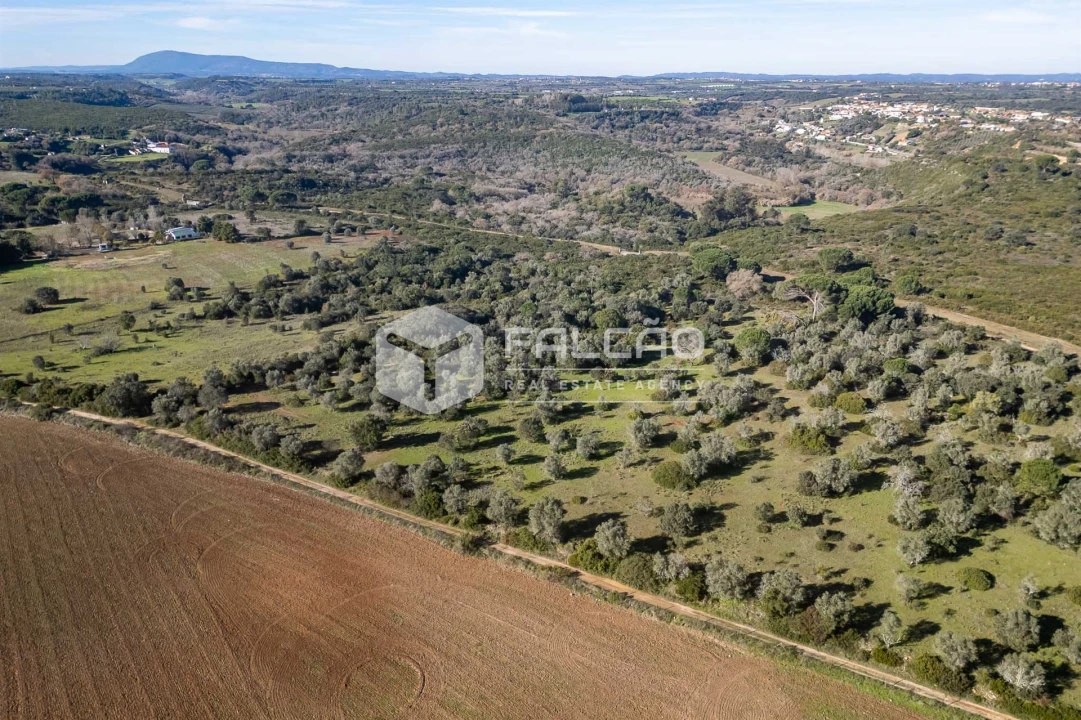 Terreno para Venda em Almoster Foto 14