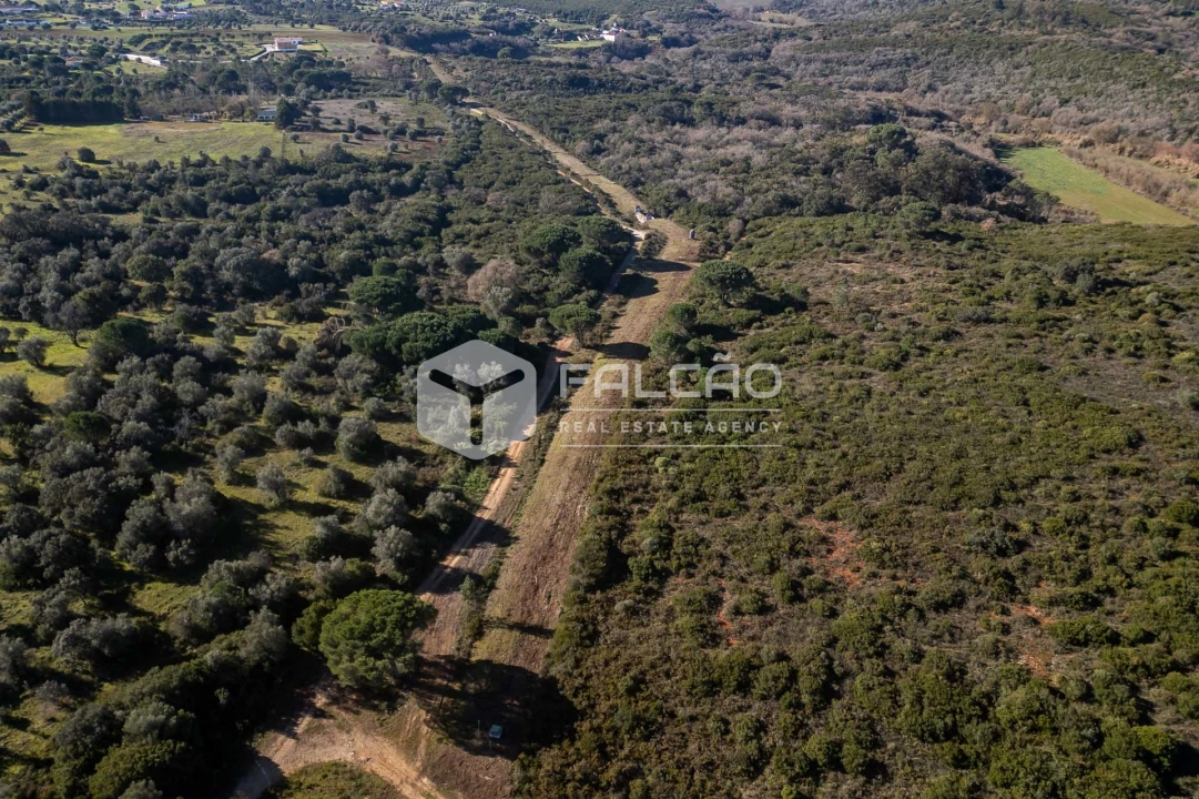 Terreno para Venda em Almoster Foto 16