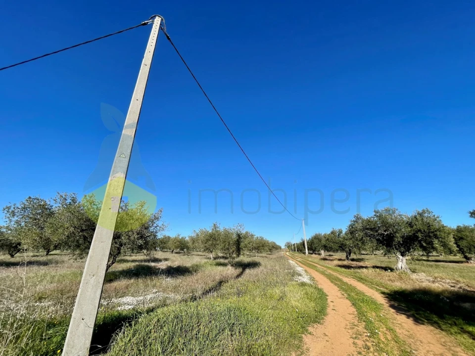 Quinta T5 para Venda em Povoa de São Miguel Foto 2