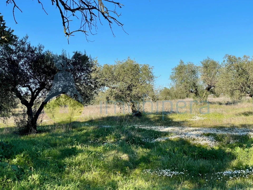 Quinta T5 para Venda em Povoa de São Miguel Foto 6