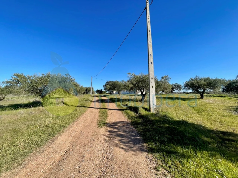 Quinta T5 para Venda em Povoa de São Miguel Foto 15