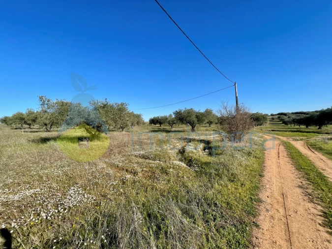Quinta T5 para Venda em Povoa de São Miguel Foto 3