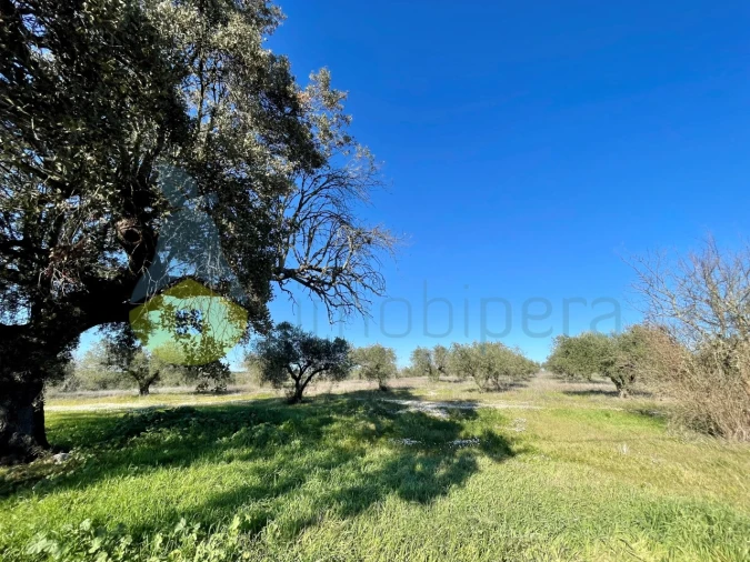 Quinta T5 para Venda em Povoa de São Miguel Foto 4