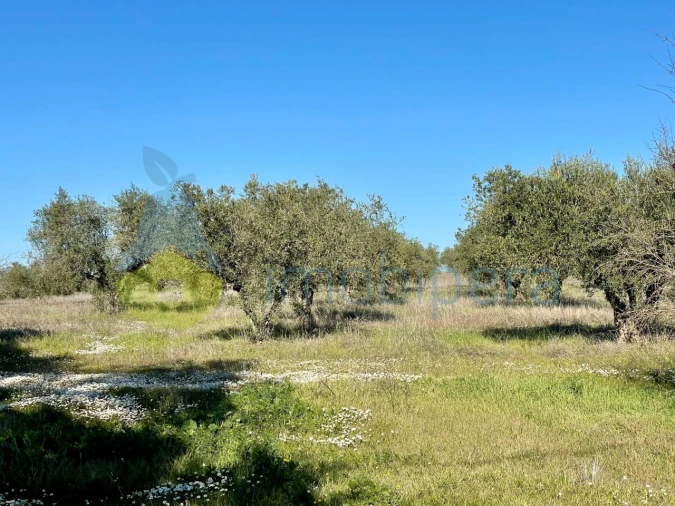 Quinta T5 para Venda em Povoa de São Miguel Foto 5