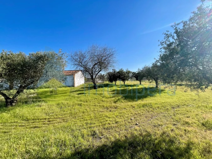 Quinta T5 para Venda em Povoa de São Miguel Foto 12