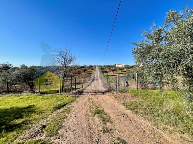 Quinta T5 para Venda em Povoa de São Miguel Foto 14